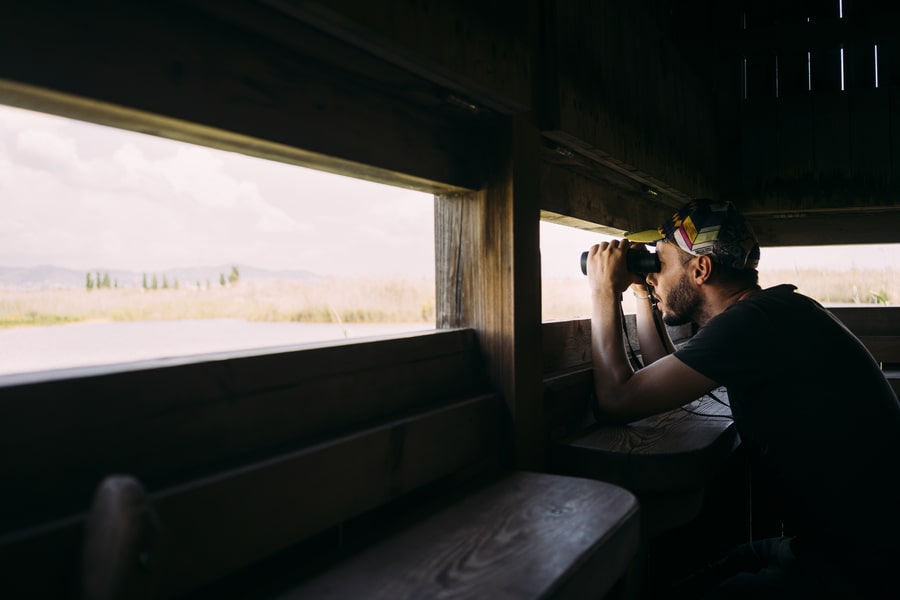 Man birdwatching with binoculars from a viewing tower