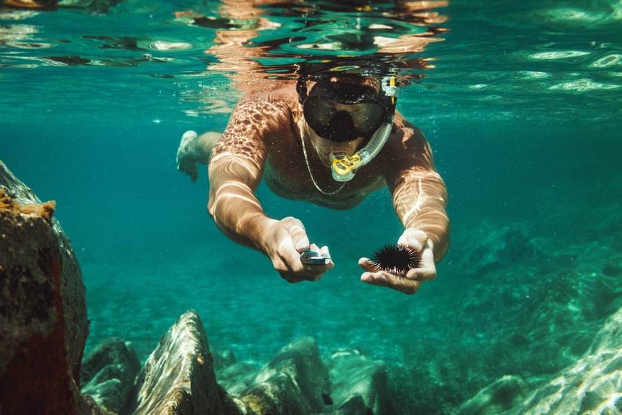 Man exploring seafloor during scuba diving in sea and holding a knife and a sea urchin in his hand